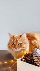 Similar image 21252234