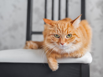 Similar image 21252263