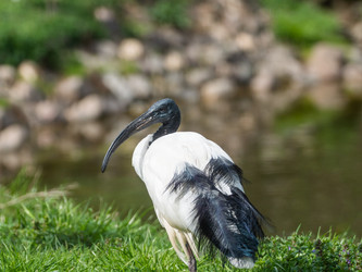 Similar image 21252362