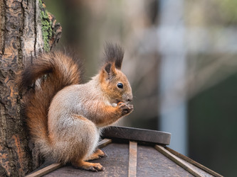 Similar image 21252367