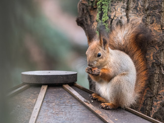 Similar image 21252368