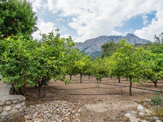 Similar image 21252124