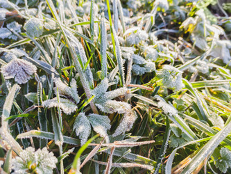 Similar image 21252127