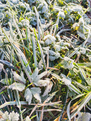 Similar image 21252129