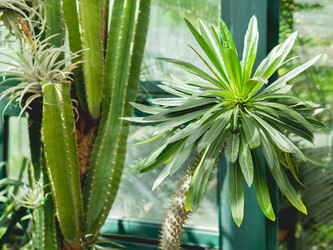 Similar image 21252132