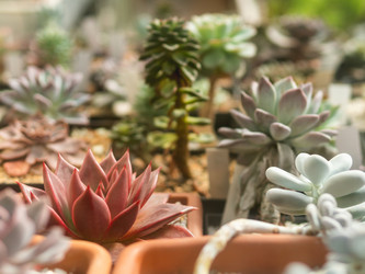 Similar image 21252133