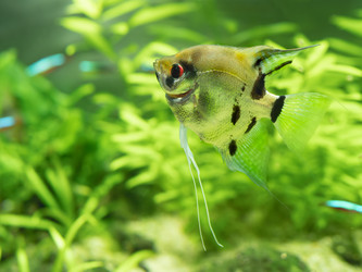 Similar image 21252135