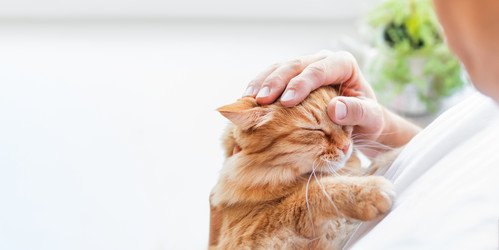 Similar image 21252137