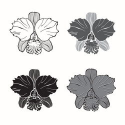 Similar image 21250608