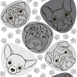 Similar image 21250628