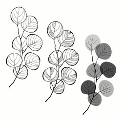 Similar image 21250643