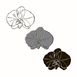 Similar image 21250678