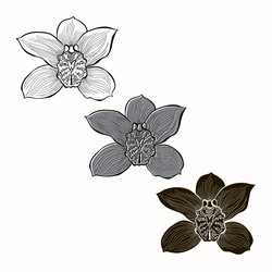 Similar image 21250679