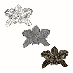 Similar image 21250682