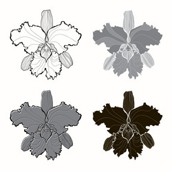 Similar image 21250683