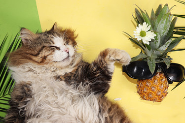 Similar image 21257809