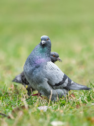 Similar image 21252241