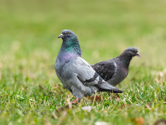 Similar image 21252242