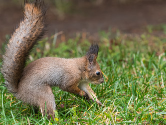 Similar image 21252243