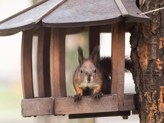 Similar image 21252244