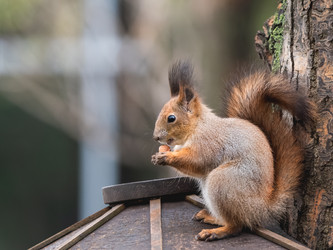 Similar image 21257458