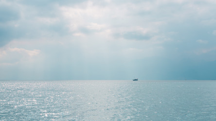 Similar image 21248995