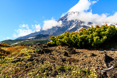 Similar image 21249014