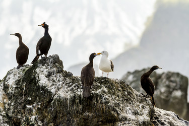 Similar image 21249016