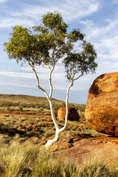 Similar image 21249021