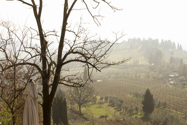 Similar image 21249025