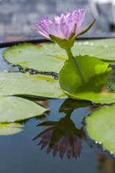 Similar image 21249034