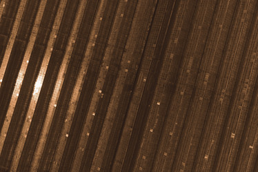 Similar image 21256736