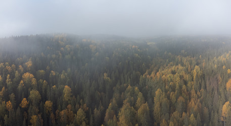 Similar image 21256738