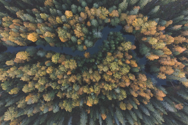 Similar image 21256739