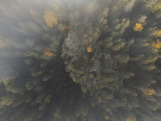 Similar image 21256741