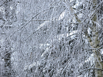 Similar image 21255235