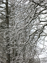 Similar image 21255236