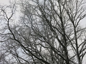 Similar image 21255237