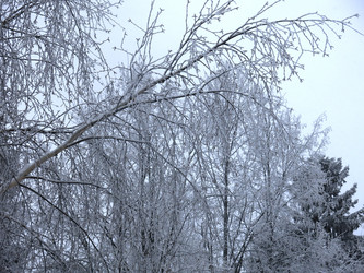 Similar image 21255238