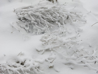 Similar image 21255239