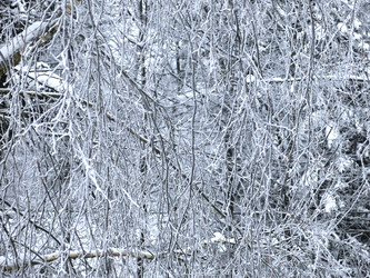 Similar image 21255240