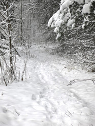 Similar image 21255241