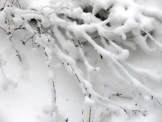 Similar image 21255328