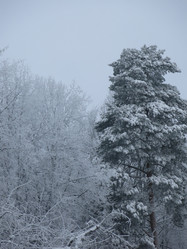 Similar image 21255329