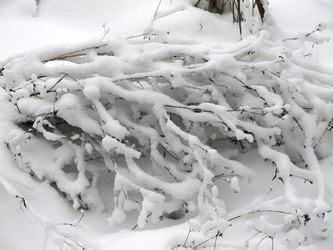 Similar image 21255330