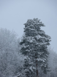 Similar image 21255331