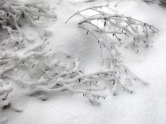 Similar image 21255332