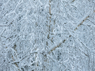 Similar image 21255333