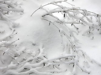 Similar image 21255334