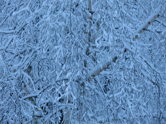 Similar image 21255335